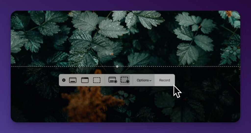 Screenshot toolbar on Mac